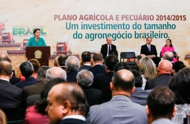 dilmasafra2_88_0_552_361