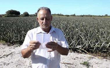 Reinaldo almeida Açu