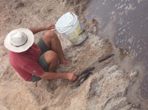 ???????????????????????????????