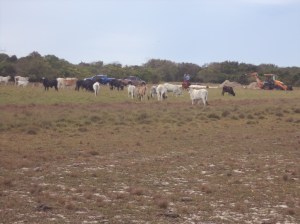 ???????????????????????????????