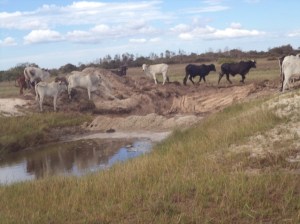 ???????????????????????????????