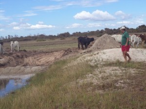 ???????????????????????????????