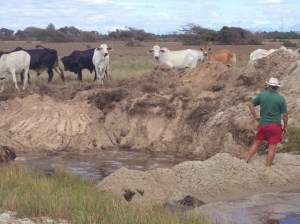 ???????????????????????????????