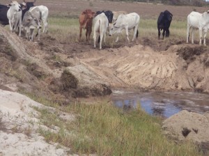 ???????????????????????????????