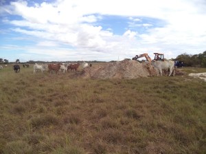 ???????????????????????????????