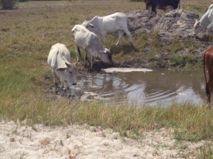 ???????????????????????????????