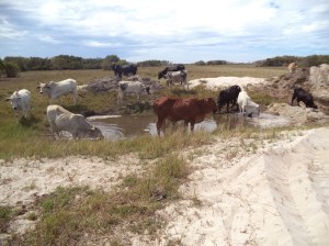 ???????????????????????????????