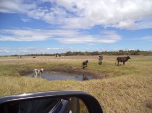 ???????????????????????????????