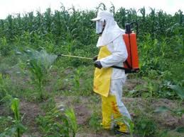 agrotóxicos