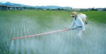 agrotoxicos004
