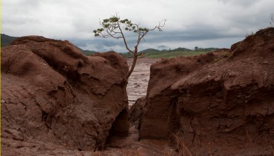 Mariana-SetimaMateria-BentoRodrigues-NilmarLage-tp