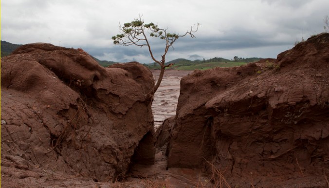 mariana-setimamateria-bentorodrigues-nilmarlage-tp