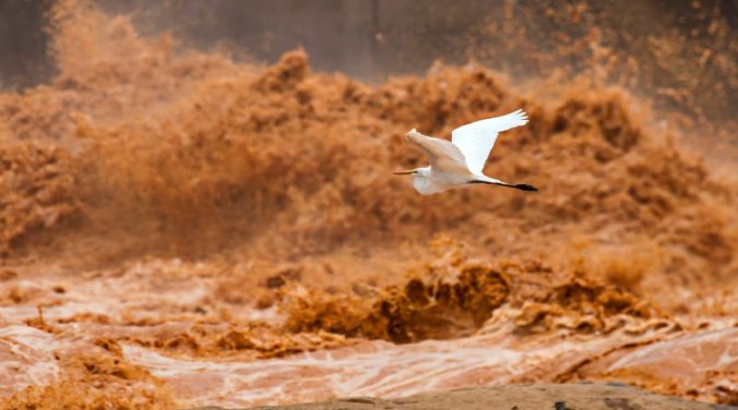 Resultado de imagem para tsulama