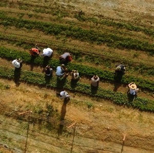 food_tank__a_man_in_the_maze