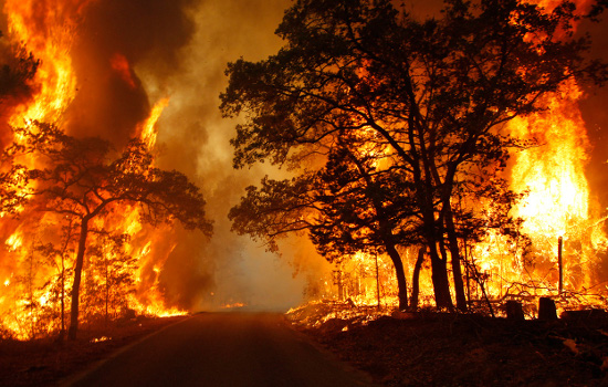 Higher-Than-Average-Temperatures-Up-Forest-Fire-Risk-in-the-Amazon-2