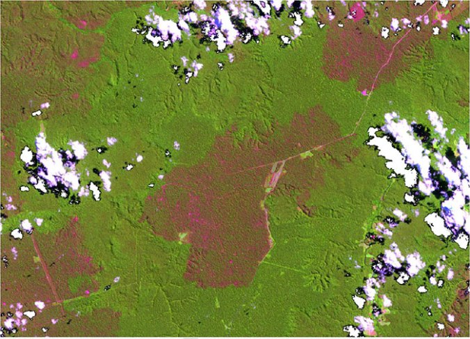 Image4_Landsat-8_burned-area