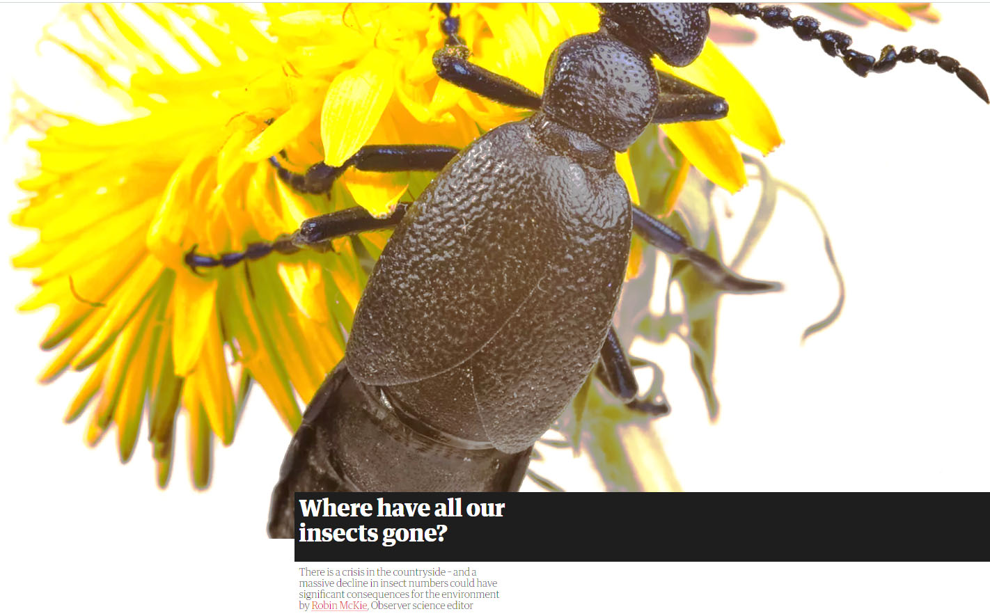 apocalipse ecológico