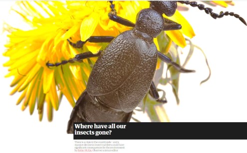 apocalipse ecológico