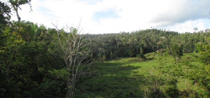 border-of-area-of-redd-project-2-apaisada-768x362