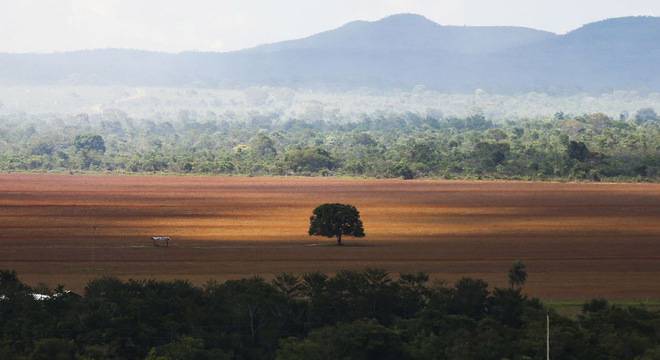 cerradoecossistema-bioma-destruicao-05062018112714589