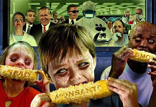 monsanto gmo[