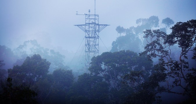 savanizacao-amazonia_capaJU_20181121