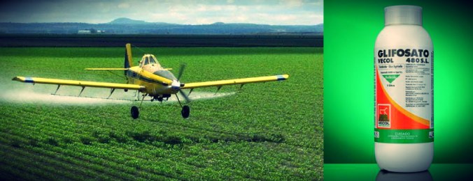 glifosato-2