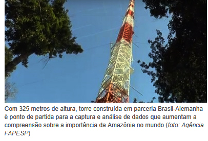 torre amazonia