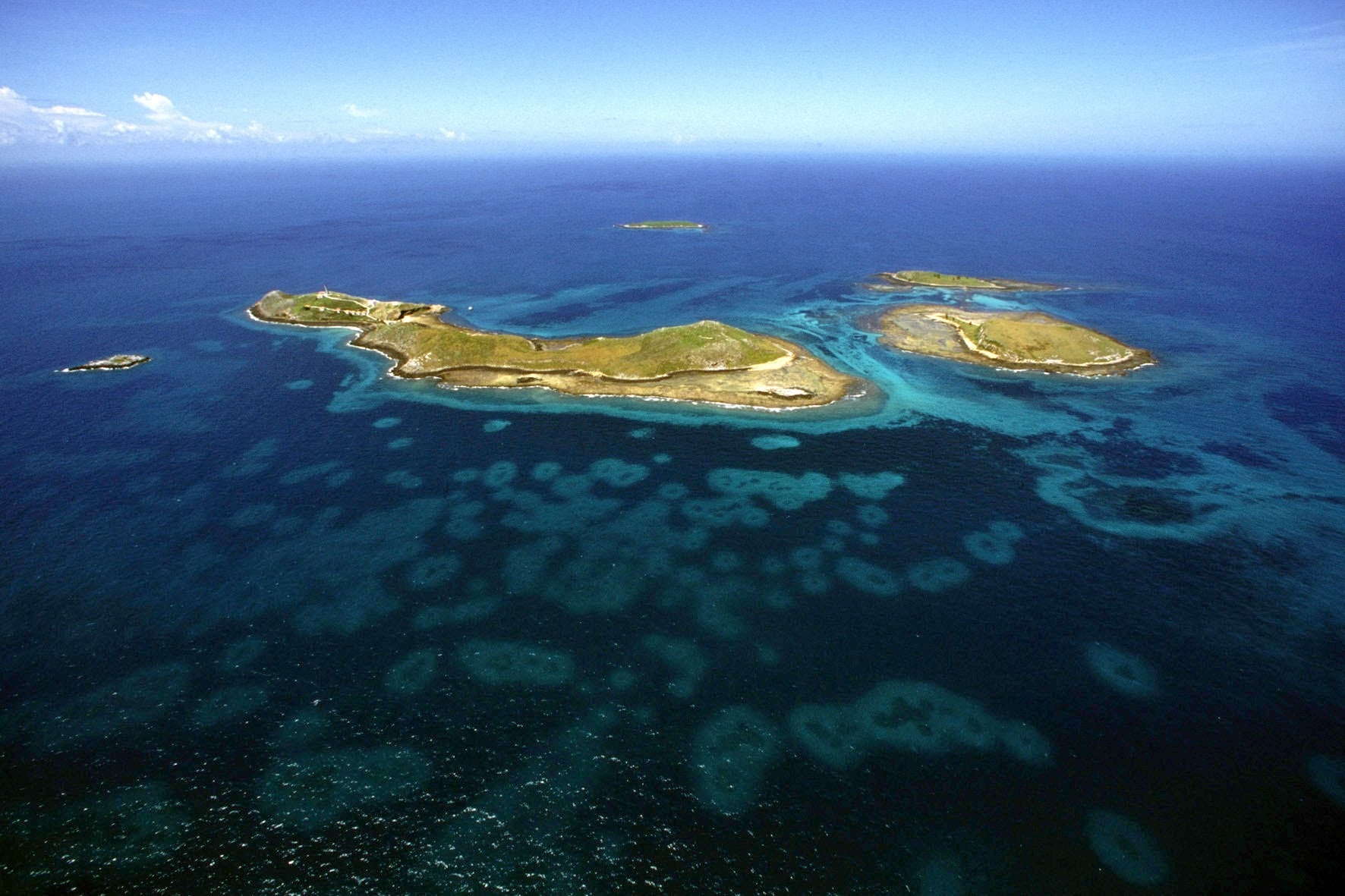 abrolhos