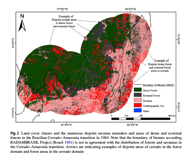 rainforest cerrado amazon