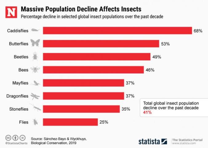 20190410insectpopulations
