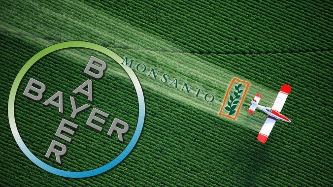 bayer monsanto