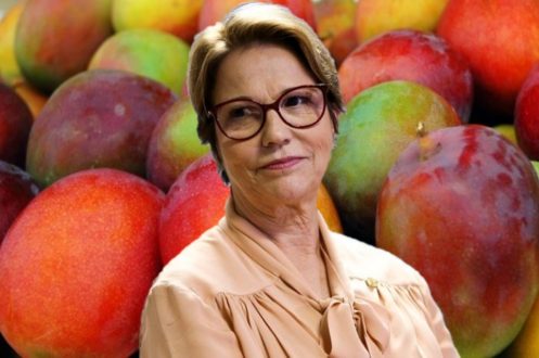 ministra_manga-497x330