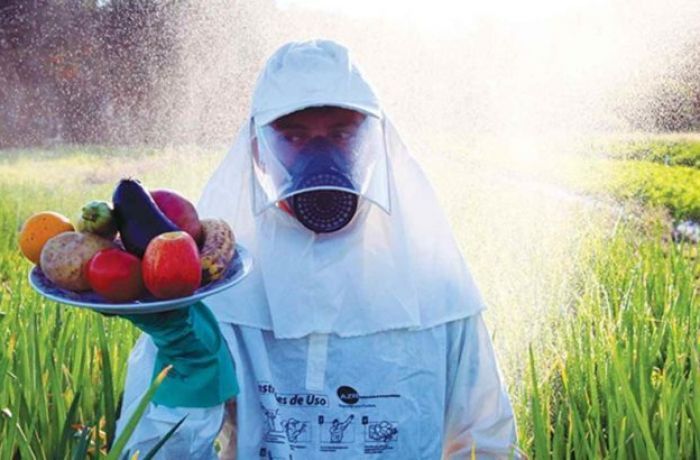 comida agrotóxicos