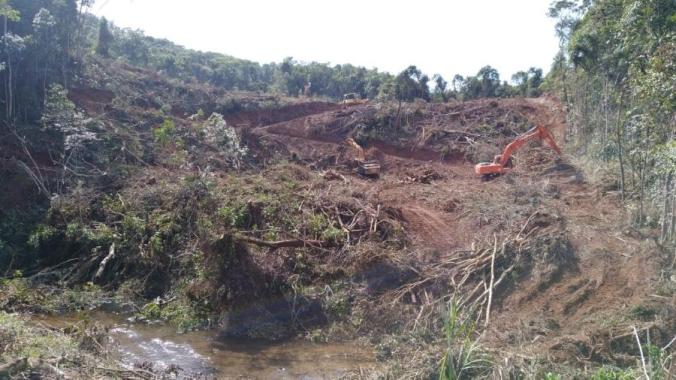 andré do mato dentro
