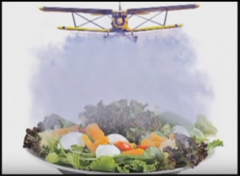 veneno está na mesa