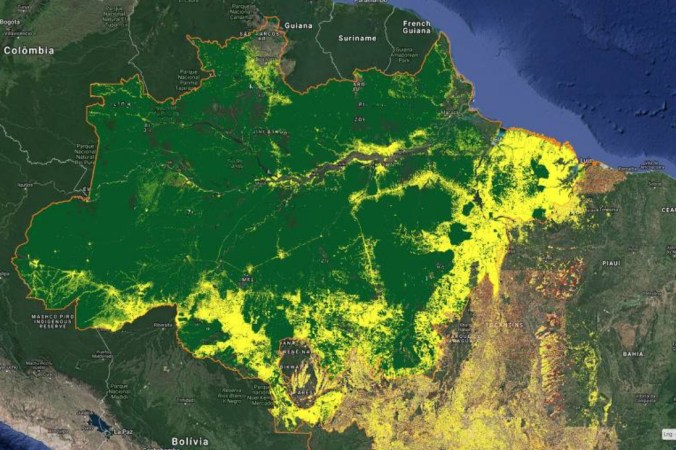 deforestation amazon