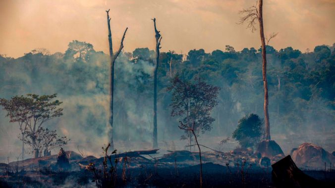 amazon burning