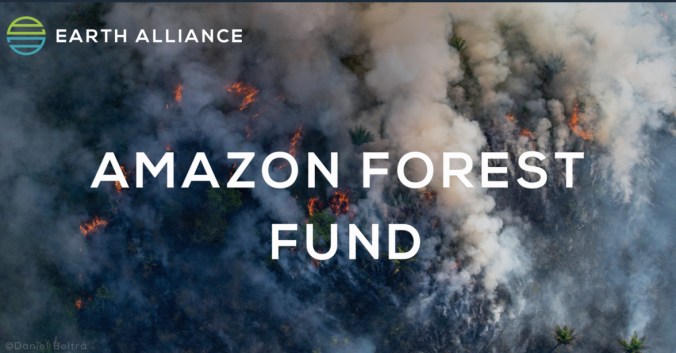 amazon fund