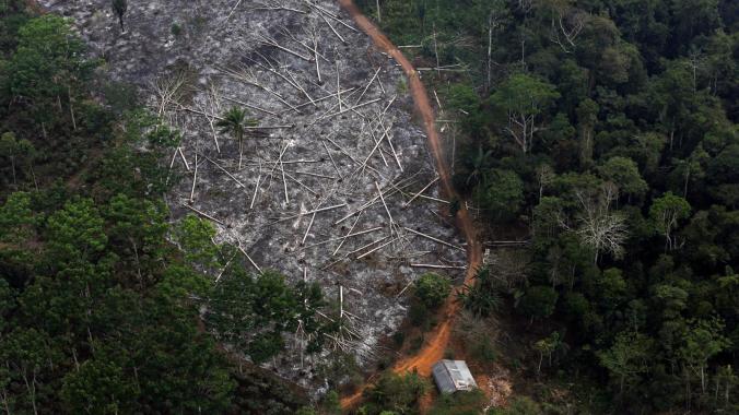 Brazil-satellite-deforestation-Amazon-Bolsonaro-Galvao