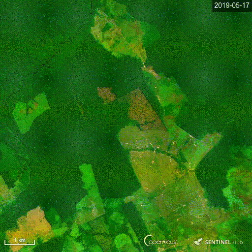 savetweetvid_EBwFOcsXoAEAwSF