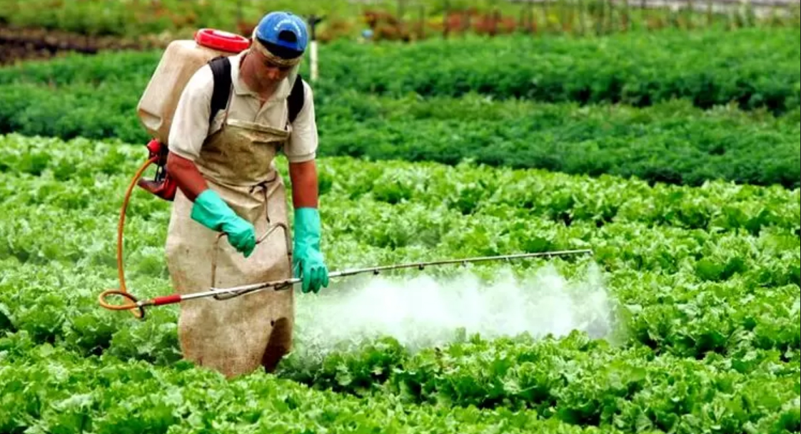 agrotóxicos classficção