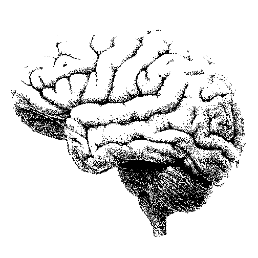 bolsonaro-fuga-de-cerebros-2-1565041259