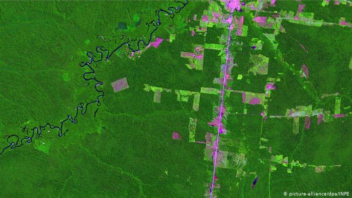 desmatamento amazonia