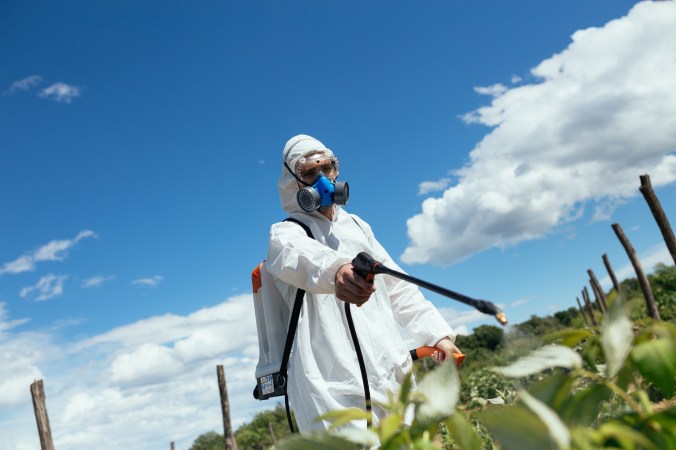 Man spraying toxic pesticides or insecticides on fruit growing plantation. Natural light on hard sunny day. Blue sky with clouds in background.