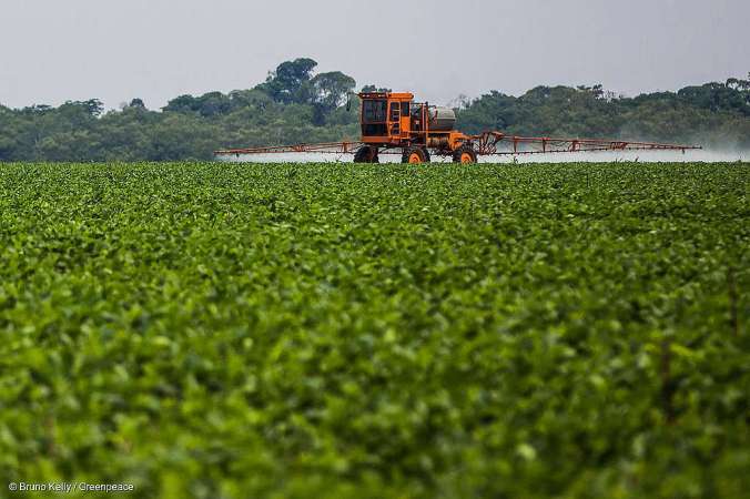 Soya Plantation in the Amazon
Plantação de soja na Amazônia
