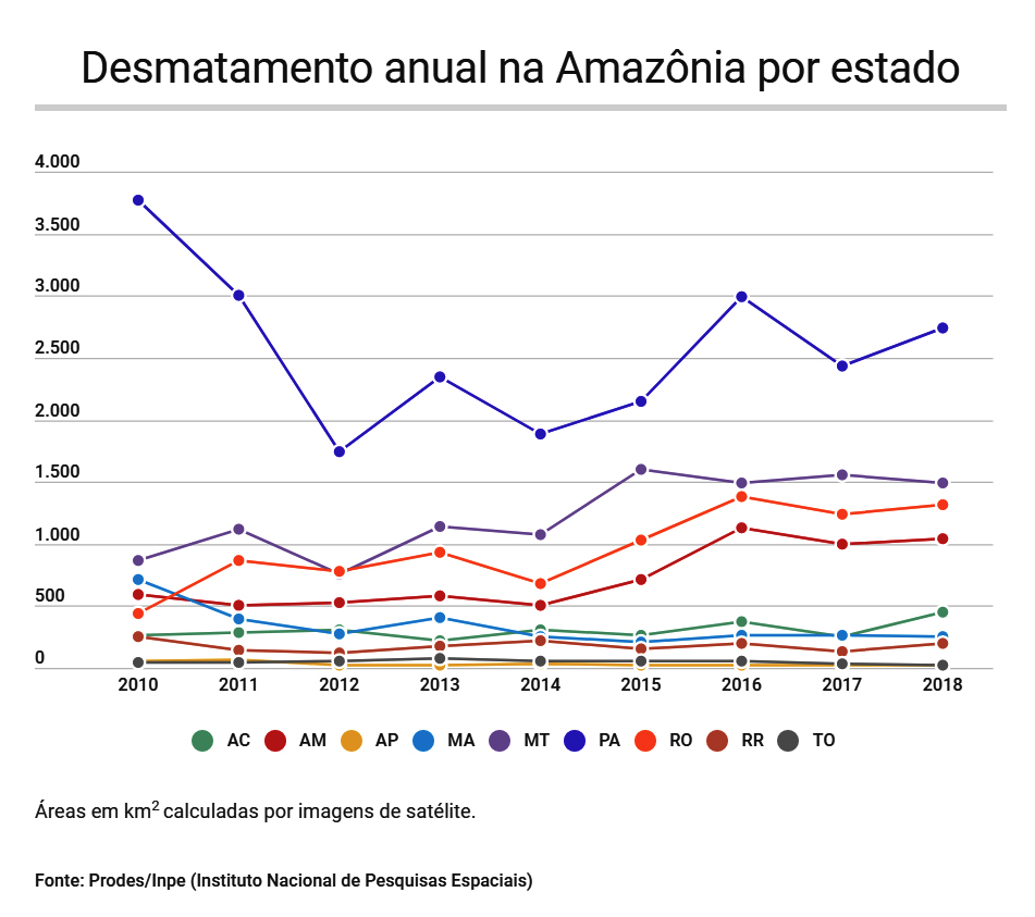 amazonia desmatamento