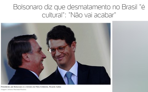 bolso cultura
