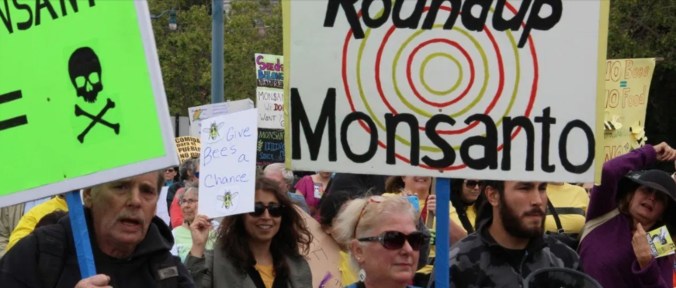 glifosato1