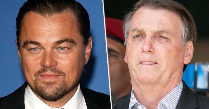 leonardo-rainforest-fb